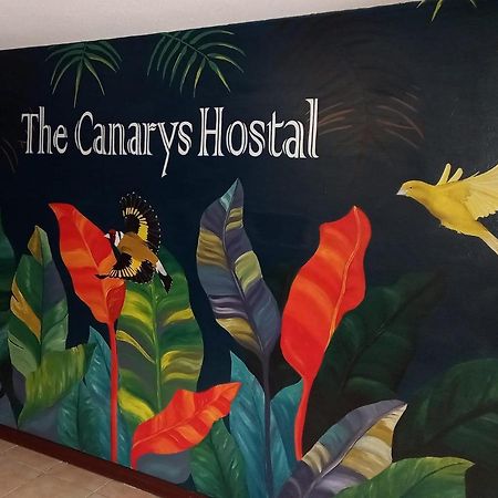 The Canarys Hostal سانتا روزا دي كابال المظهر الخارجي الصورة