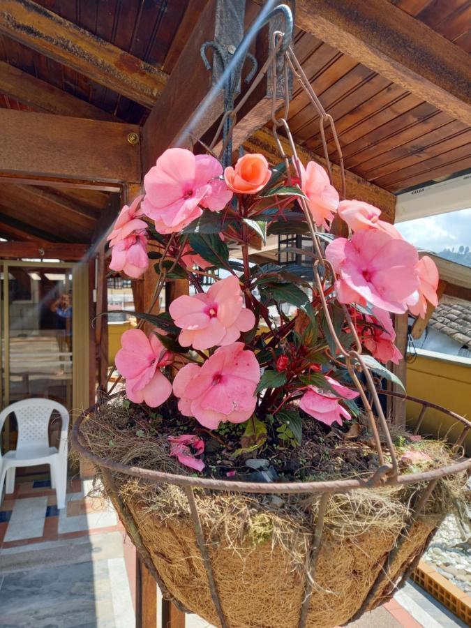 The Canarys Hostal سانتا روزا دي كابال المظهر الخارجي الصورة